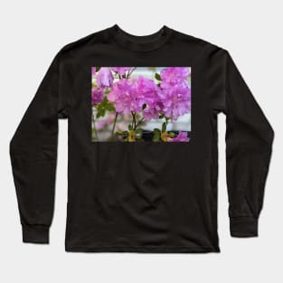 Cluster of Pink  Ruffled Flowers Against Brick Wall 2 Long Sleeve T-Shirt